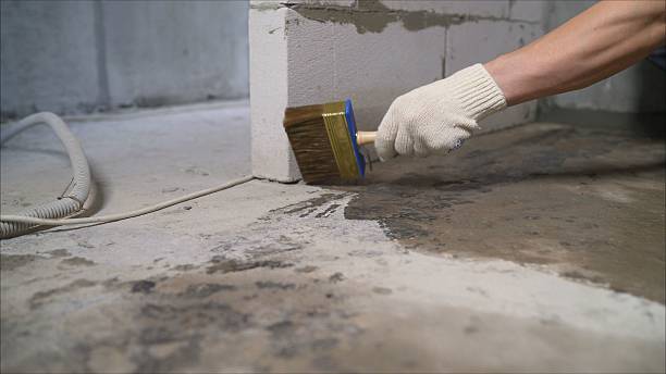 24/7 Emergency Crawl Space Encapsulation experts in Hartselle, AL